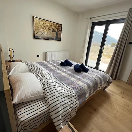 Harry Arachova Kalívia